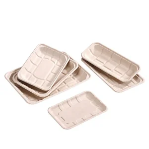 Square Snack Tray