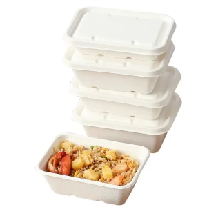 Catering Salad Box