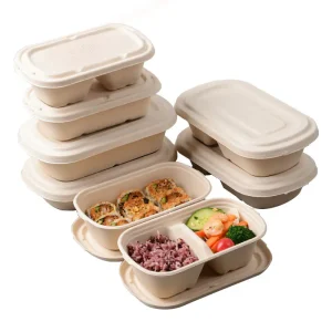 Divided Salad Box
