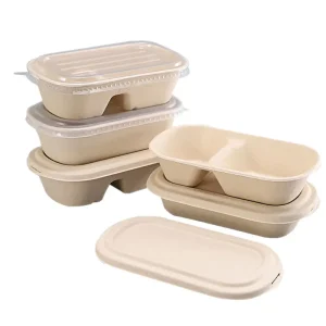 Multi‑Compartment Salad Box