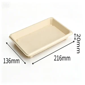 Large Sushi Platter Tray