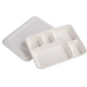 Multi‑Compartment Tray