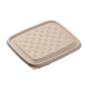 Compartment Tray with Lid