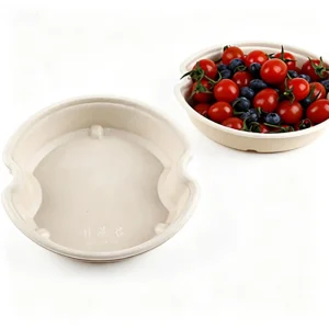 Fresh Food Tray