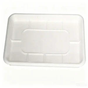 Square Food Tray