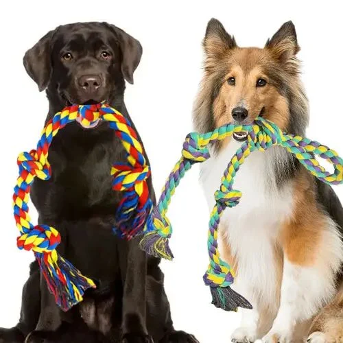 30 Hot Selling Products to Import from China with High Profit Potential 42 pet-toys-from-yiwu-wholesale-market