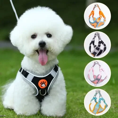 25 Best Pet Products to Import from China for Retail Success 64 Dog Leashes & Harnesses